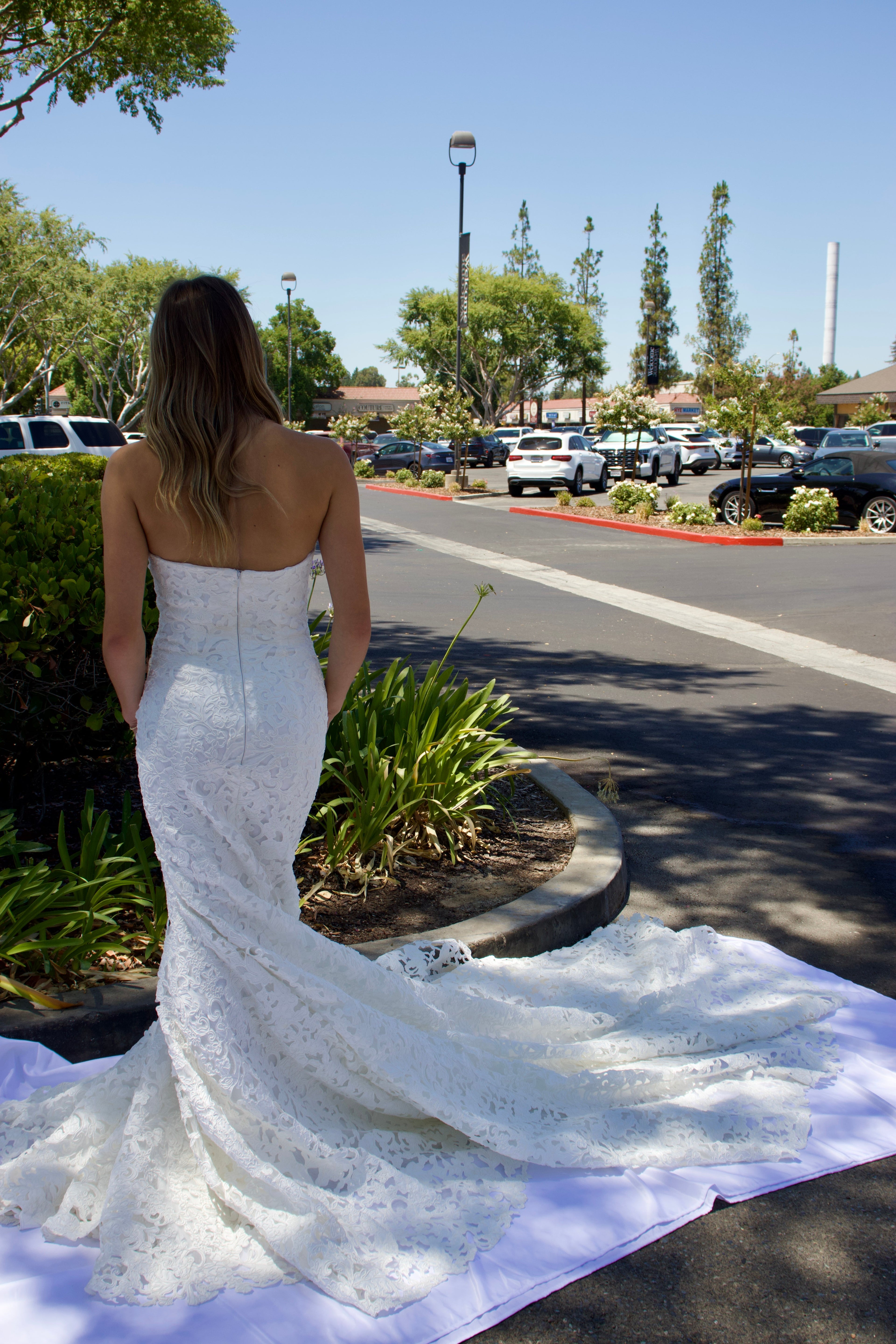 Alexis Bridal Gown